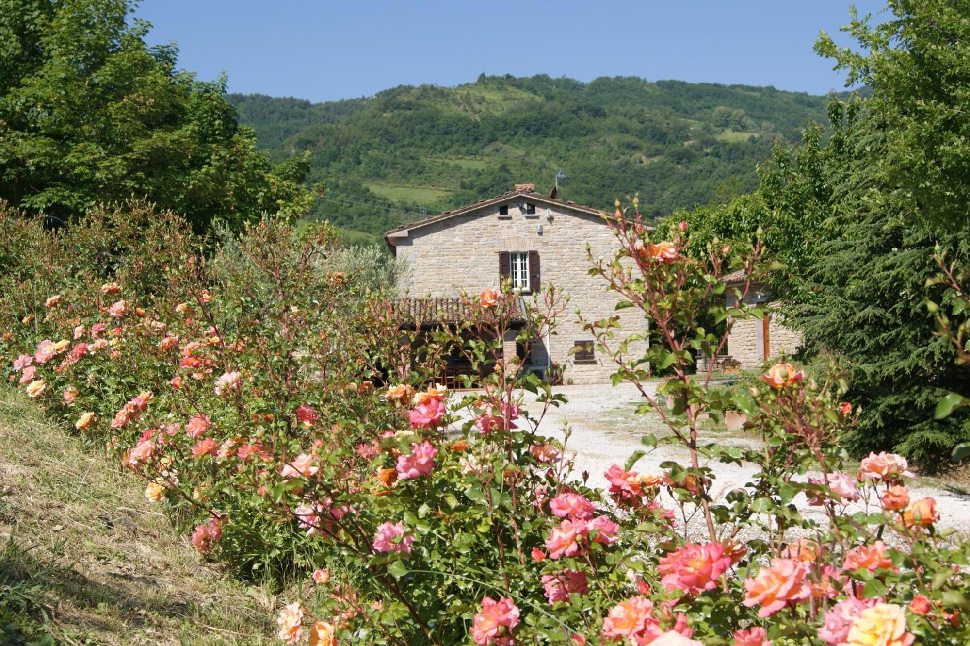 Agriturismo Corte Dei Mori St. Kassian Exterior foto